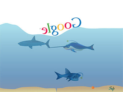 Google 수중 검색